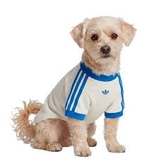 adidas - Pet Cali Tee