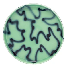 FRIZBEE CERAMICS - Baby Plate