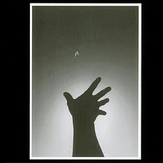 Ratvader - Kite
