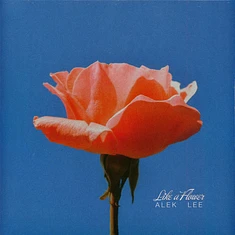 Alek Lee - Like A Flower