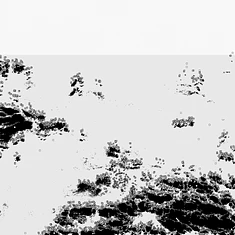 Bot1500 - The Black Sea