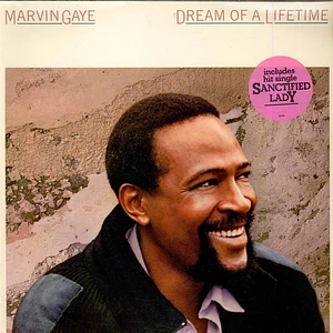 Marvin Gaye - Dream Of A Lifetime