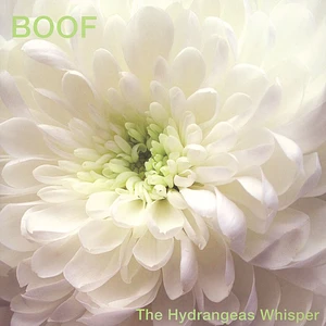 Boof - The Hydrangeas Whisper