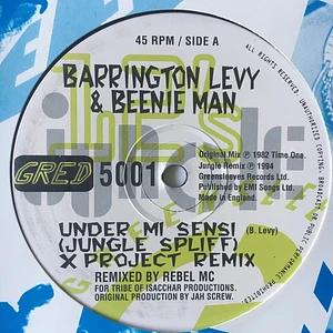 Barrington Levy & Beenie Man - Under Mi Sensi