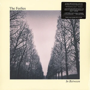 The Feelies - In Between