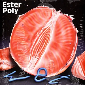 Ester Poly - Wet