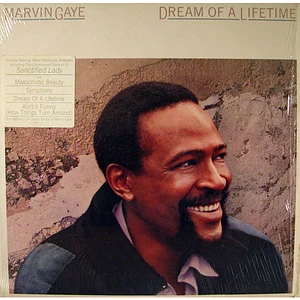 Marvin Gaye - Dream Of A Lifetime