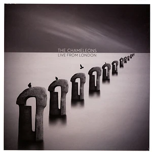The Chameleons - Live From London Clear Vinyl Edition