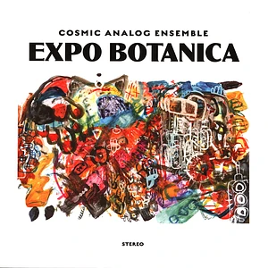 Cosmic Analog Ensemble - Expo Botanica
