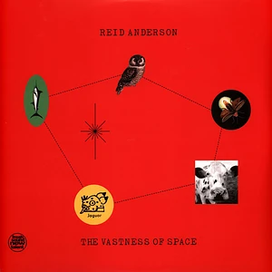 Reid Anderson - The Vastness Of Space