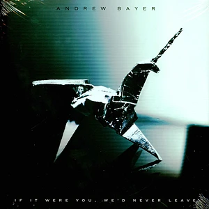 Andrewbayer - Andrew Bayer - If It Were You,