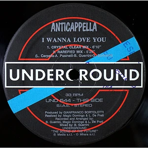 Anticappella - I Wanna Love You