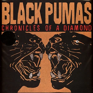 Black Pumas - Chronicles Of A Diamond Clear Vinyl Edition
