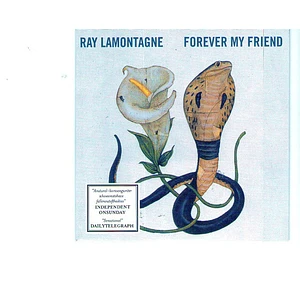 Ray Lamontagne - Forever My Friend