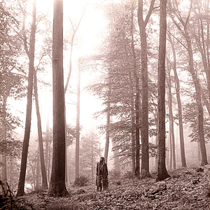 Taylor Swift - Folklore Gold "In The Trees" Vinyl Edition