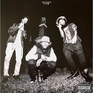 Flatbush Zombies - Better Off Dead