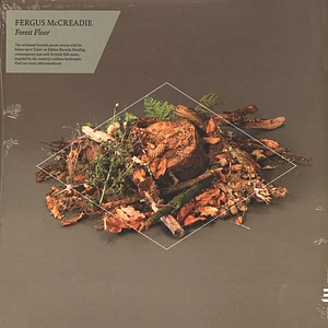 Fergus Mccreadie - Forest Floor
