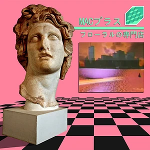 Macintosh Plus - Floral Shoppe Pink Vinyl Edition (With Slightly Damaged Cover)