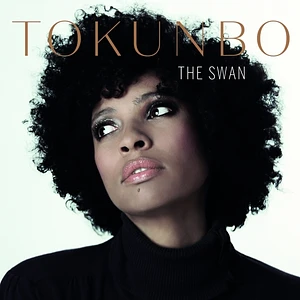Tokunbo - The Swan Limited