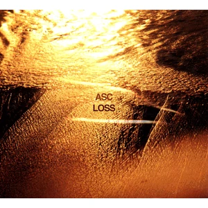 ASC - Loss