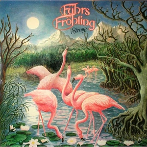 Gerhard Führs & Heinz Fröhling - Strings