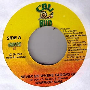 Warrior King - Never Go Where Pagons Go