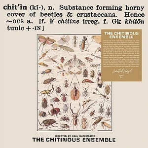 The Chitinous Ensemble - Chitinous