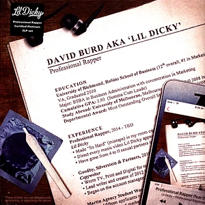 Lil Dicky - Professional Rapper