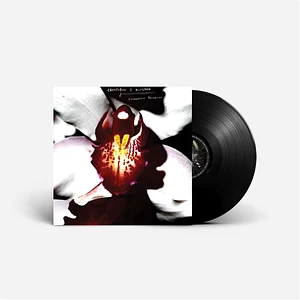 Chrystabell & David Lynch - Cellophane Memories Black Vinyl Edition