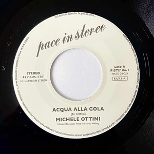Michele Ottini - Acqua Alla Gola