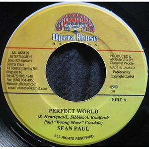 Sean Paul - Perfect World