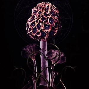 Blut Aus Nord - Hallucinogen Purple / Blue Merge & Green / Purple Merge Vinyl Edition