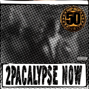 2Pac - 2Pacalypse Now X Joshua Vides Artwork Limited Edition