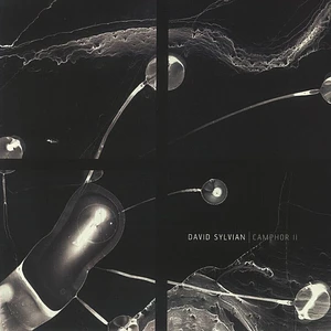 David Sylvian - Camphor II Record Store Day 2025 Edition