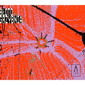 Bloto - Grzybnia