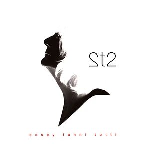 Cosey Fanni Tutti - 2t2