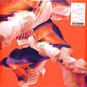 Bicep - Isles Picture Disc Edition