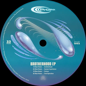 Blue Vision - Brotherhood EP