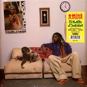 Aminé - 13 Months Of Sunshine Purple Vinyl Edition