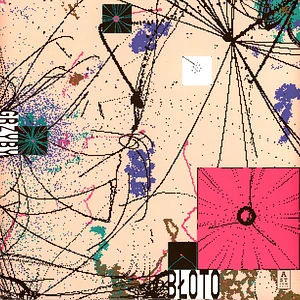 Bloto - Grzyby