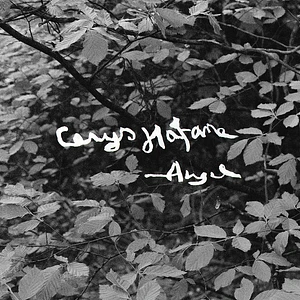 Cerys Hafana - Angel