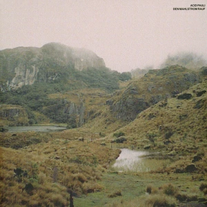 Acid Pauli - Den Mahlstrom Rauf