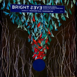 Bright Eyes - Down In The Weeds Where The World Once Was