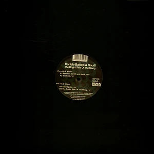 Daniele Baldelli & Gaudi - The Bright Side Of The Moog