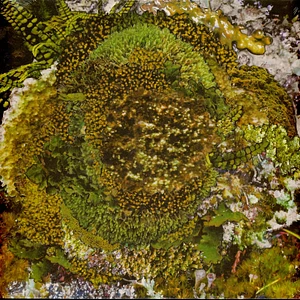 Kinzua - Never Fret, Never Fail EP