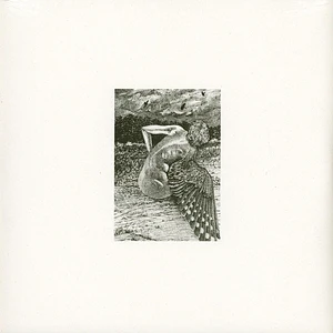 Patrick Lysaght - For The Birds