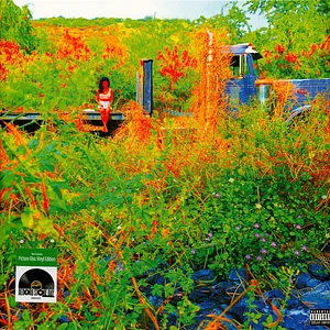 Jhené Aiko - Trip Record Store Day 2026 Zoetrope Picture Disc Edition