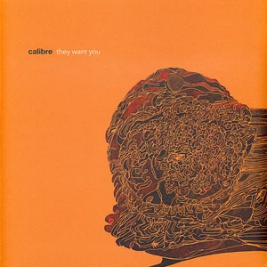 Calibre - They Want You