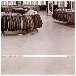 V.A. - Well Dressed And Delicious - Raw Soul