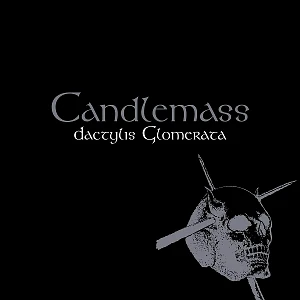 Candlemass - Dactylis Glomerata Pearl Arctic